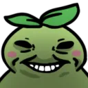 xddkoko xddkoko