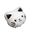 kitty