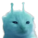 blorp