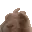 VibingRabbit