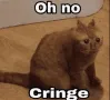 cringcat cringcat