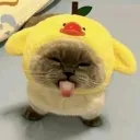 bleehhhhP