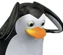 ptn