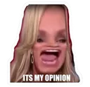 itsmyopinion