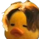 hdhhrhtur hdhhrhtur