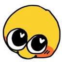 c_blush_shy