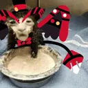 Husk_icky Husk_icky