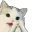 yay