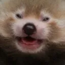 leavemebeav