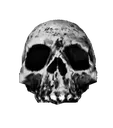 HL2_skull_emoji HL2_skull_emoji