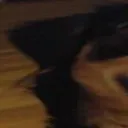 Wide_George_1