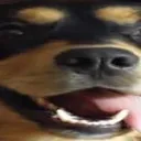 Wide_George_2