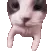 7319catkiss