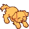 z_reki_pet_dog_play