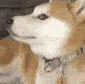 lo