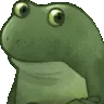 concerned_frog_vanishing