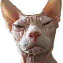 emoji_1