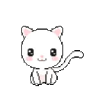 w_kittyay
