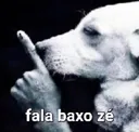 falabaxohitsu falabaxohitsu