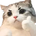 emoji_20