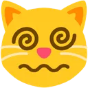dizzycat