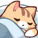 CatEepy