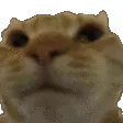 Nono Nono