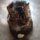 resting_bitch_face