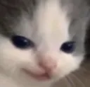 catsmirk
