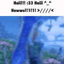 HAI HAI