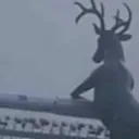 UN_DeerSad
