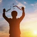 freedom freedom