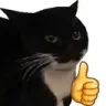 Cat_good