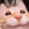 Cat_owo