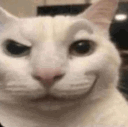__