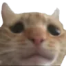 mel_sadder