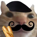 dr_catfrench dr_catfrench