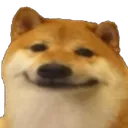 DoggySmile_Chad