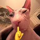 shhh
