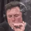 elonweed