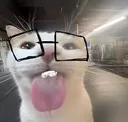 blehnerd