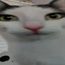 Whar