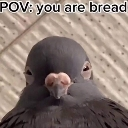 Bread Discord emoji