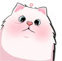 catcute_ggGemZ