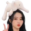 SuaCute