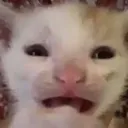 whattheheck