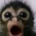 monke