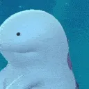 huuh