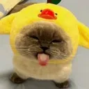 emoji_45