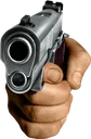 Gun